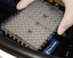 RT-PCR Plate 2