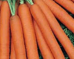 carrot_pic