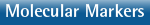 Molecular Markers